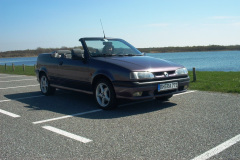 R-19-Cabrio-004