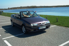 R-19-Cabrio-005